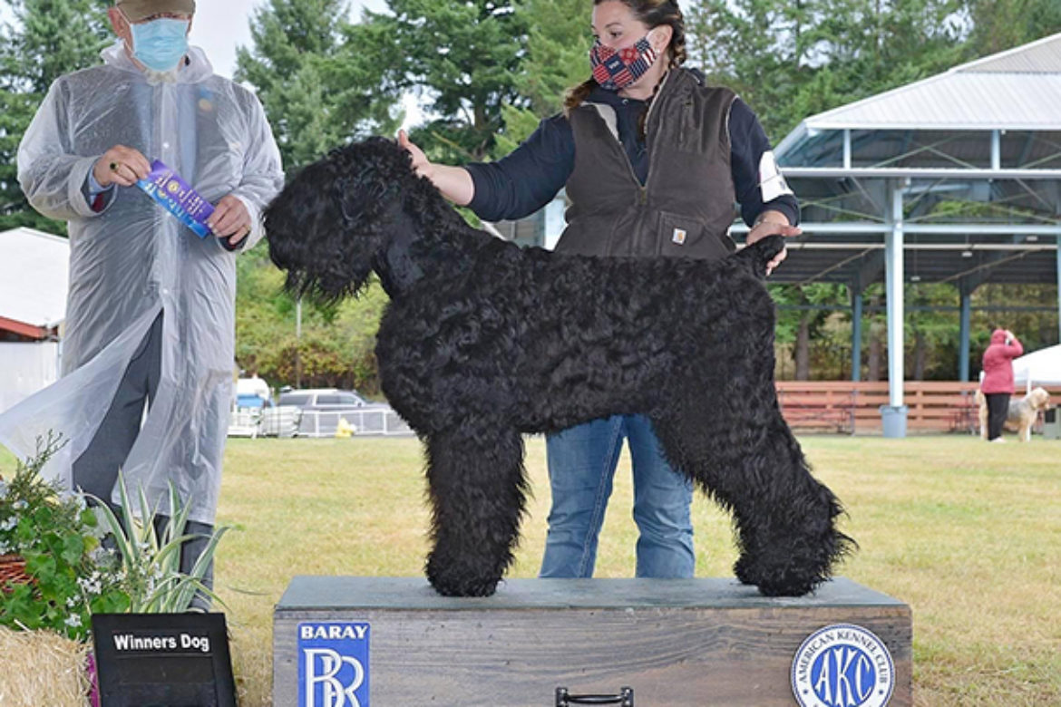 AKC Breeder Spotlight: Jean Tuggle and Emily Foster of Sparta Black Russian Terriers