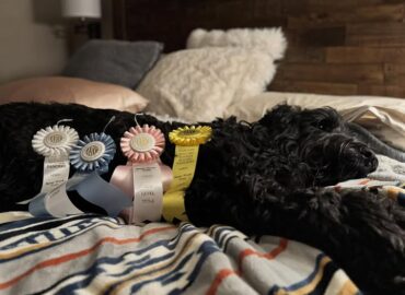 Charlie sniffs out another title!