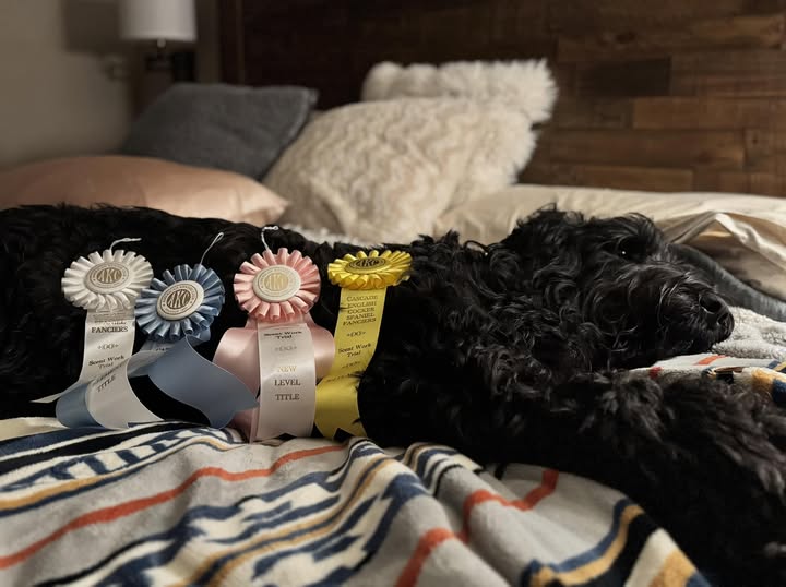 Charlie sniffs out another title!